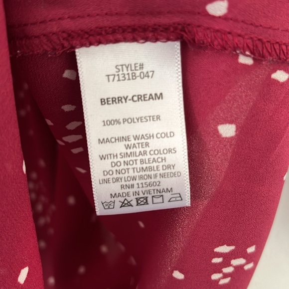 LUSH Top in Berry-Cream color with a Dotted Print - Picture 4 of 5